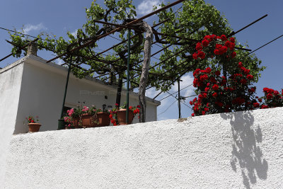 623 2 WEEKS IN CRETE IN MAY 2018 - IMG_6982 DxO Pbase.jpg