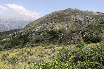 663 2 WEEKS IN CRETE IN MAY 2018 - IMG_7029 DxO Pbase.jpg