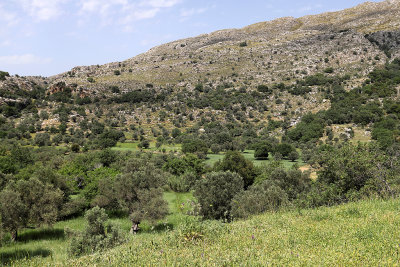 665 2 WEEKS IN CRETE IN MAY 2018 - IMG_7031 DxO Pbase.jpg