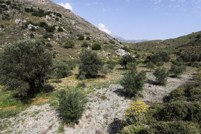 677 2 WEEKS IN CRETE IN MAY 2018 - IMG_7044 DxO Pbase.jpg