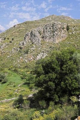 730 2 WEEKS IN CRETE IN MAY 2018 - IMG_7103 DxO Pbase.jpg