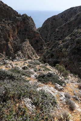 1996 2 WEEKS IN CRETE IN MAY 2018 - IMG_8458 DxO Pbase.jpg