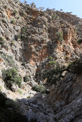 2063 2 WEEKS IN CRETE IN MAY 2018 - IMG_8528 DxO Pbase.jpg