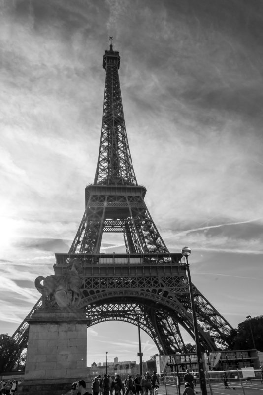 IMG_4016bw.jpg