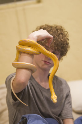 Burmese python Brendan4.jpg