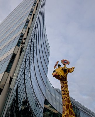 Urban giraffe - a perfect 10!