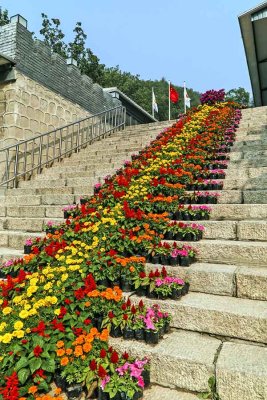 The Great Wall of China 萬里長城