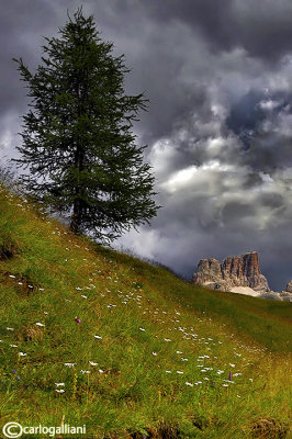 Dolomiti - Averau