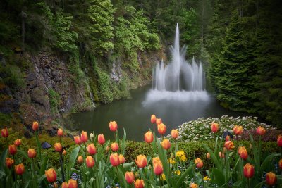 Butchart Gardens