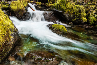 Elkhorn Waters