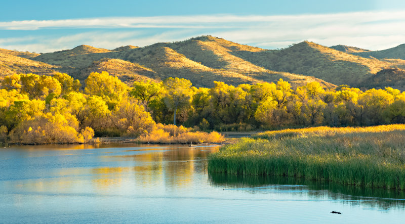 Patagonia Lake