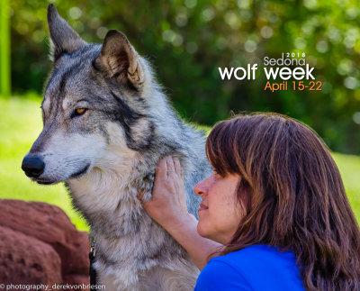 033_sedona-wolf-week-plan-b.jpg