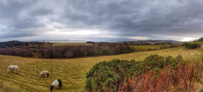 Over the Moray Firth (Pano)