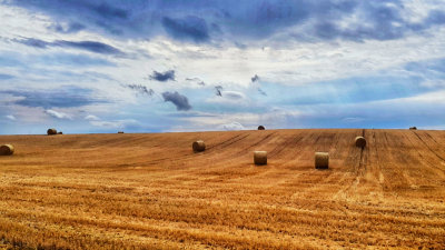 Hay Bales