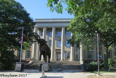 Morrill Hall