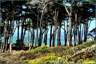 View from Lands End.jpg