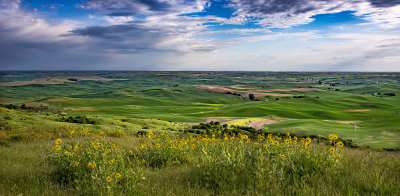 A Late Afternoon On Steptoe Butte