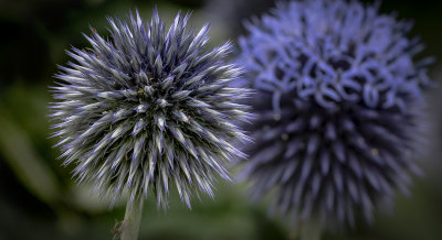 Natural Fireworks