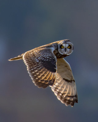 Giving Me The Look