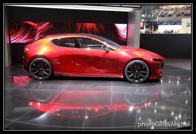 AutoGeneve2018-307.jpg