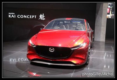 AutoGeneve2018-311.jpg