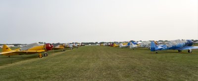 DSC02133-1.jpg