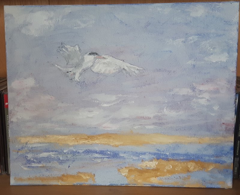 Tern at the beach - Oil on Canvas, Katwijk, 25 Sept 2018