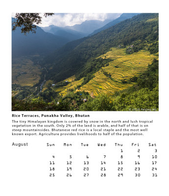 Rice Terraces, Punakha Valley, Bhutan