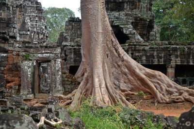 Angkor (Siem Reap, Cambodia)