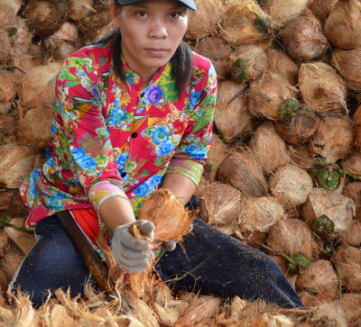 Worker in a plantation of coconuts - Mekong Delta
