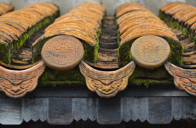 Roof detail - Imperial City of Hue
