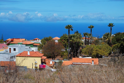 Three palm trees - Tinizara Village