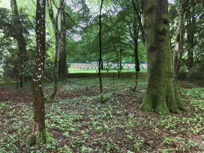 Scheidhof German Cemetery