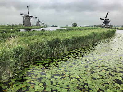 Nieuwe Waterschap, South Holland