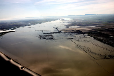 Yolo Bypass - Soaking In