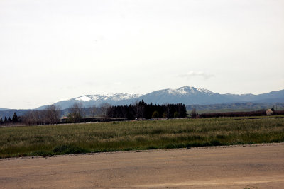 Snow West of Willows