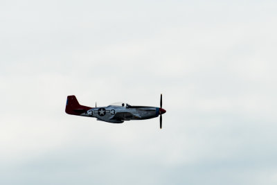 _DSC9257-201708241024sml.jpg