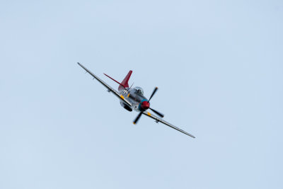 _DSC9280-201708241024sml.jpg