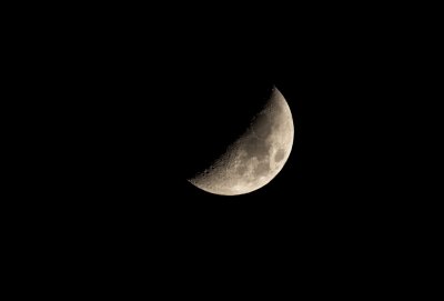 DSC_0113_1024_Resize.jpg