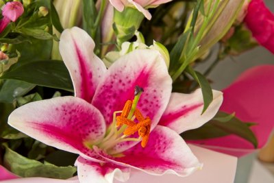 DSC_0121_1024_Resize.jpg