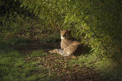 DSC_0289_1024_Resize.jpg
