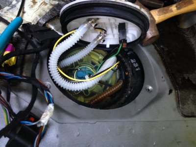 Seal and wiring.jpg