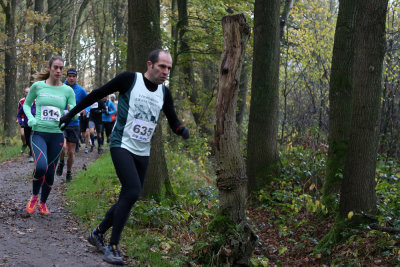 OGP_20171112_1195.jpg