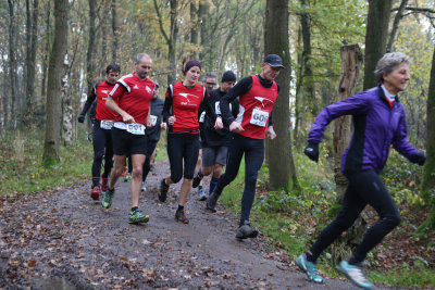 OGP_20171112_1205.jpg
