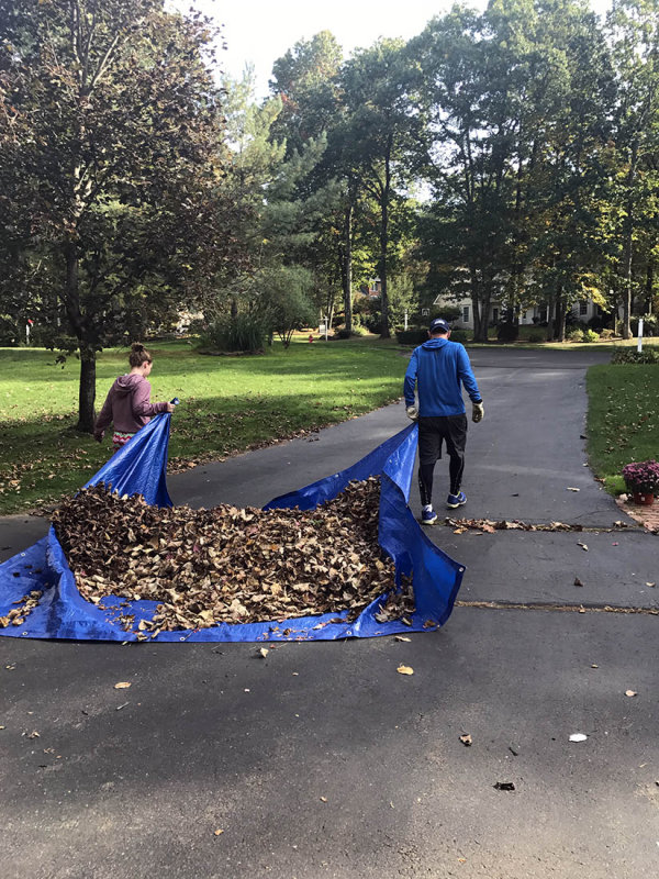 leavesdriveway.jpg