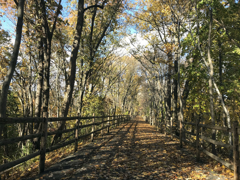 biketrail18.jpg