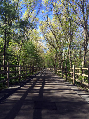 railsTrail.jpg