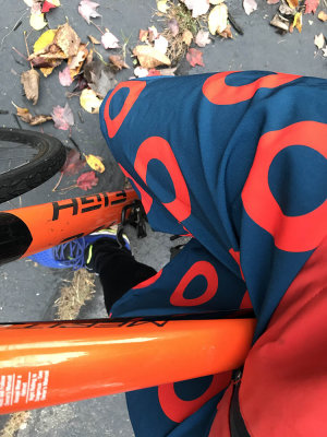 phishbikeshort.jpg