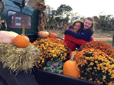cornmaze15.jpg