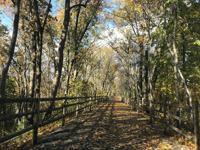 biketrail18.jpg